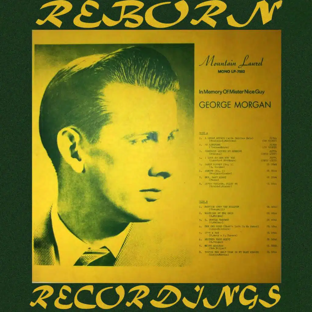 Somebody Robbed My Beehive