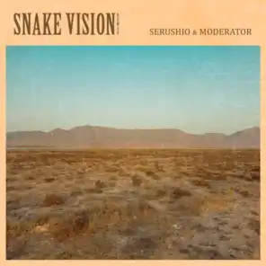 Snake Vision (Remix)