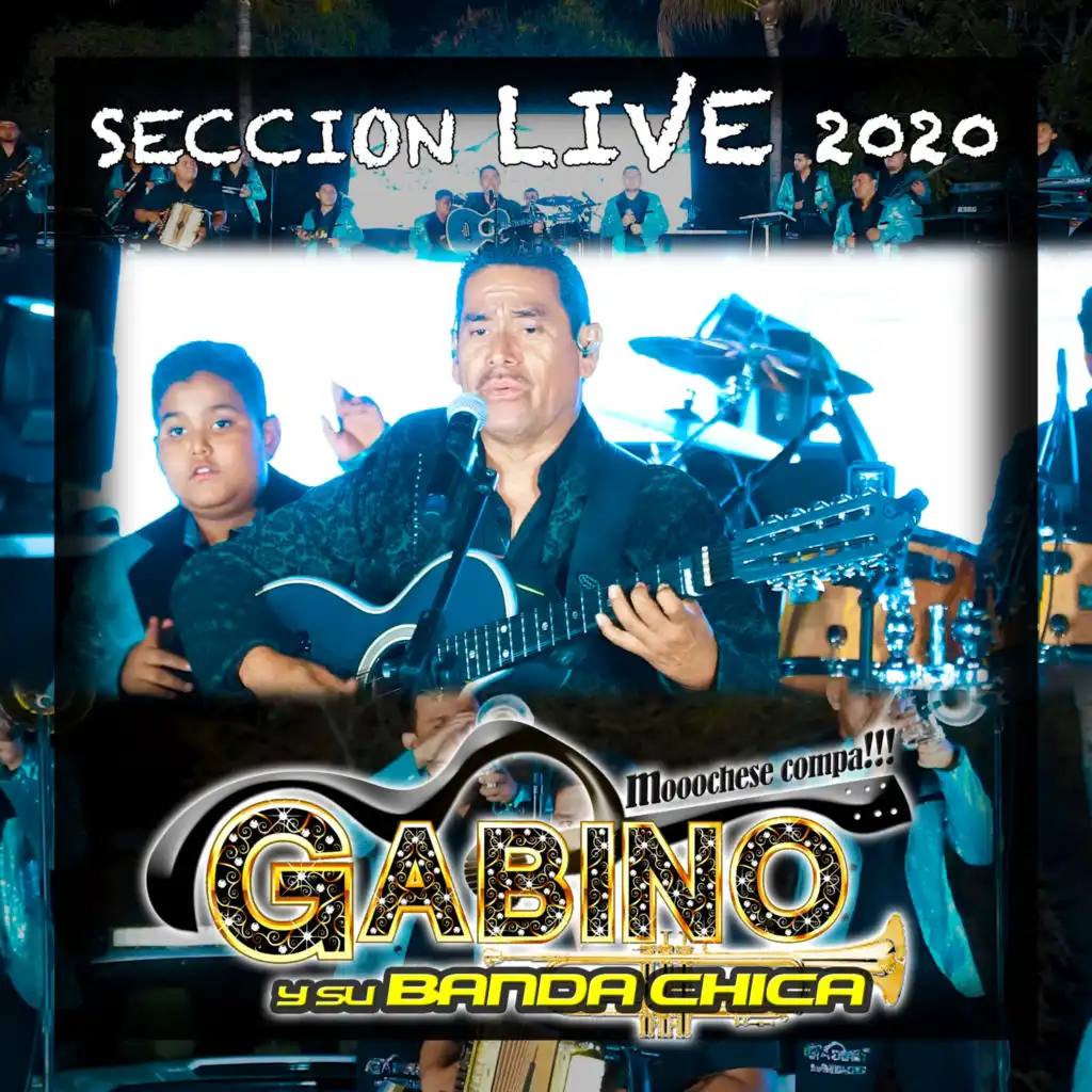 Seccion Live 2020