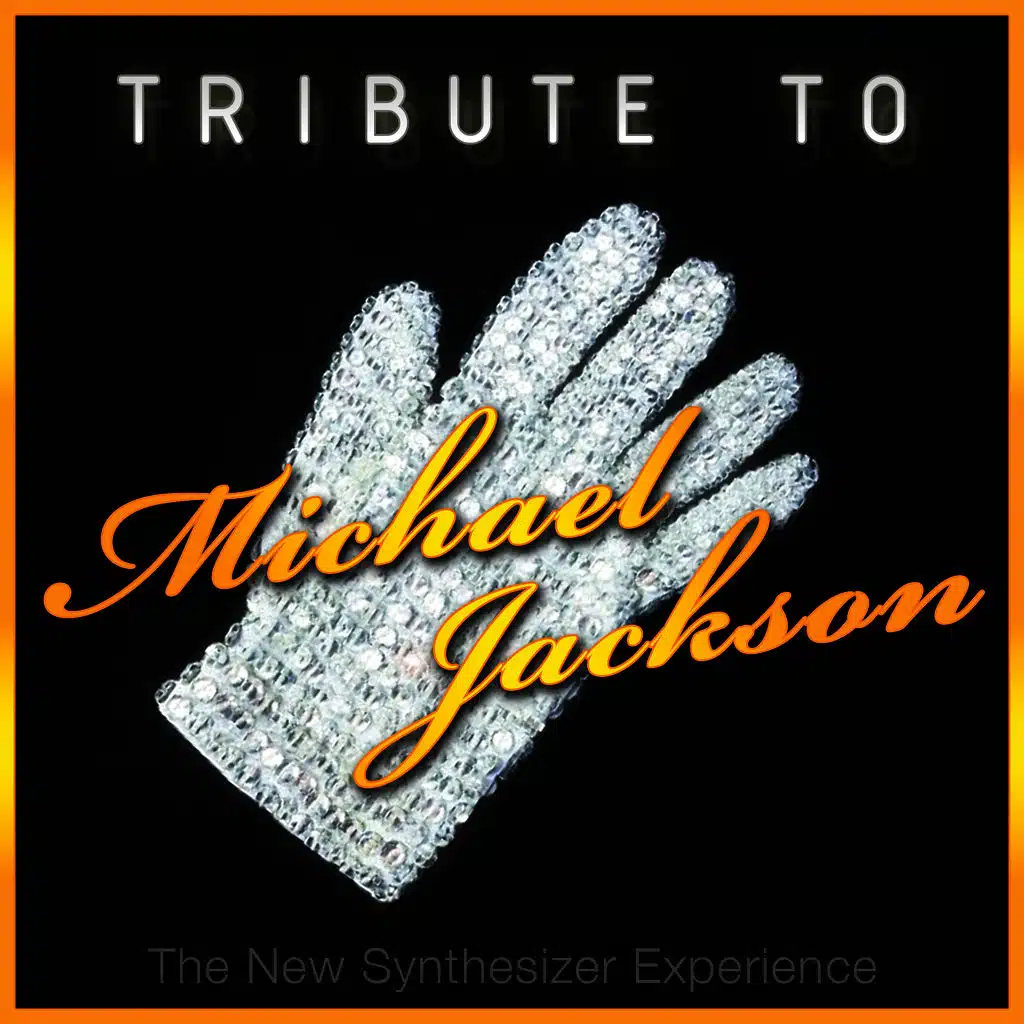 The New Synthesizer Expirience