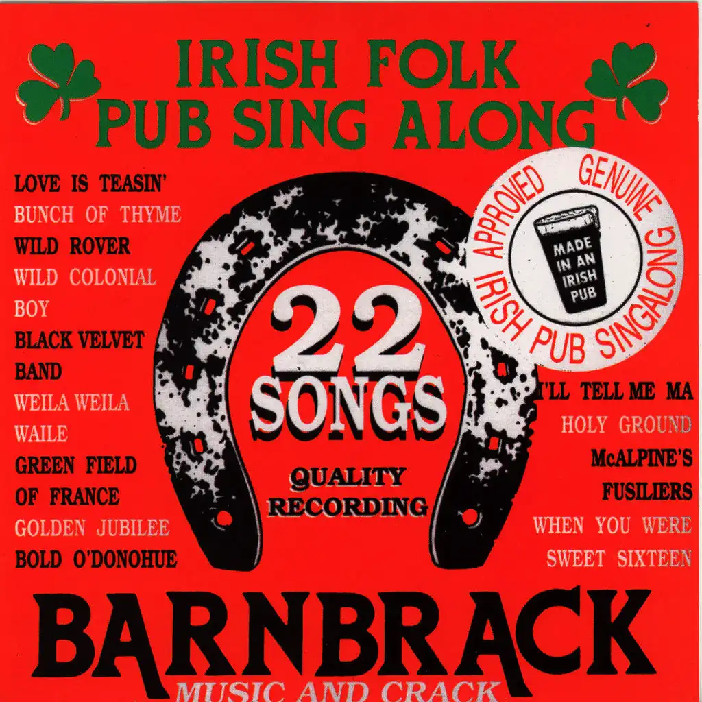 22 Irish Folk Pub Songs