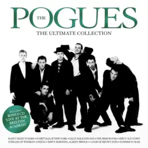 The Irish Rover (feat. The Dubliners)