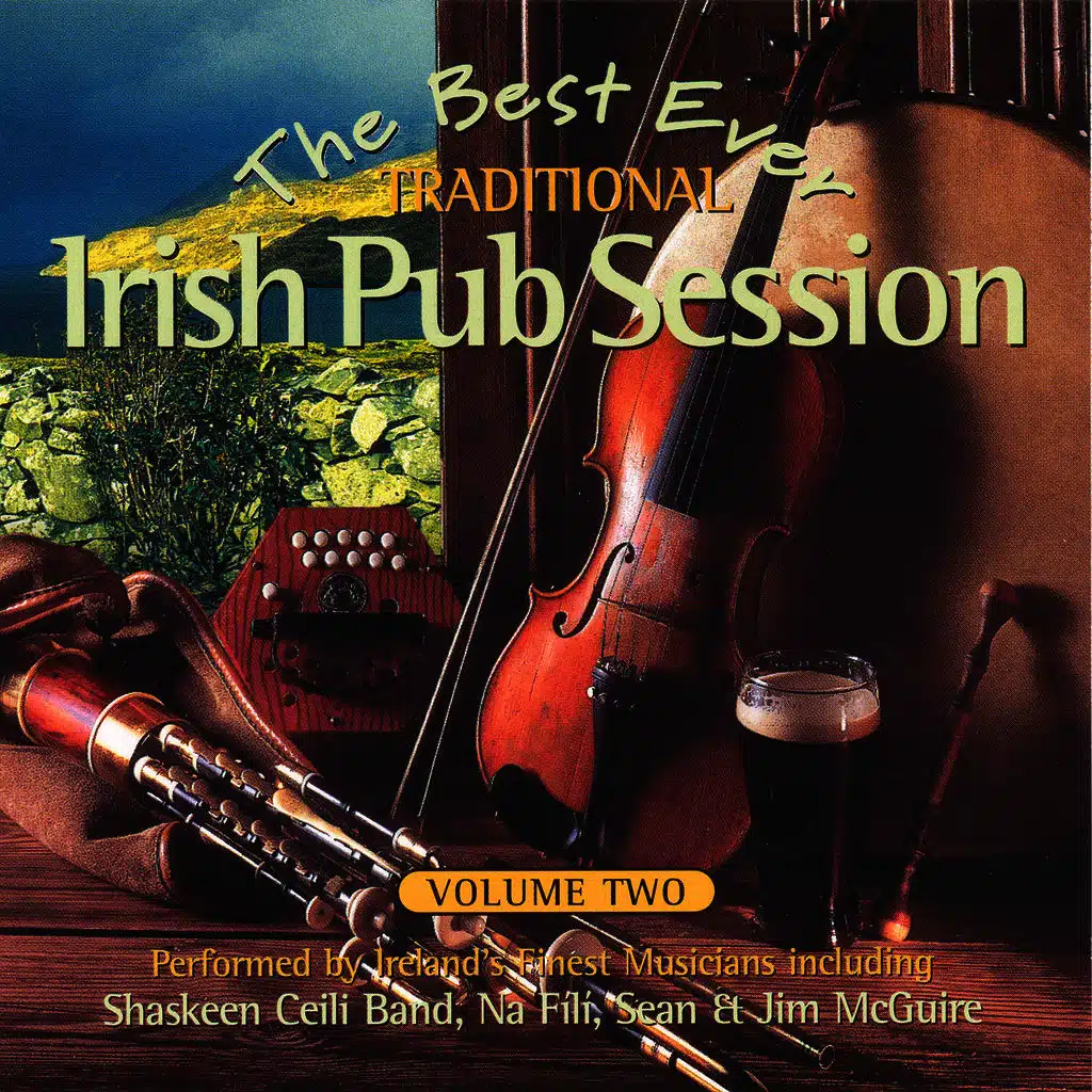 The Best Ever Traditional Irish Pub Session - Volume 2