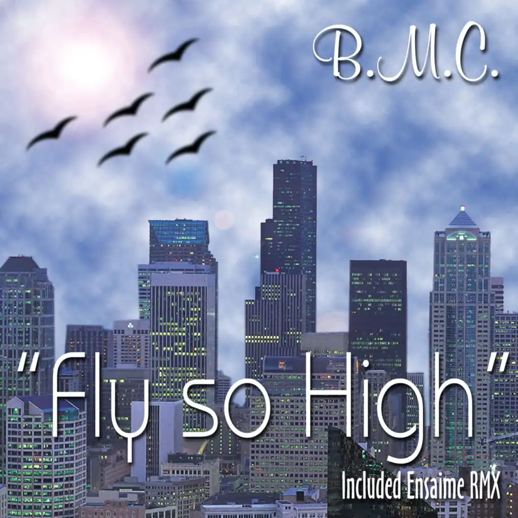 Fly So High (Ensaime Rmx Radio Edit)