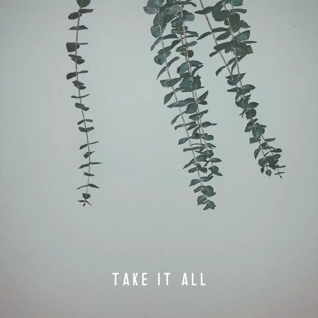 Take It All (feat. Caleb Rogers)