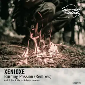 Burning Passion (Remixes)