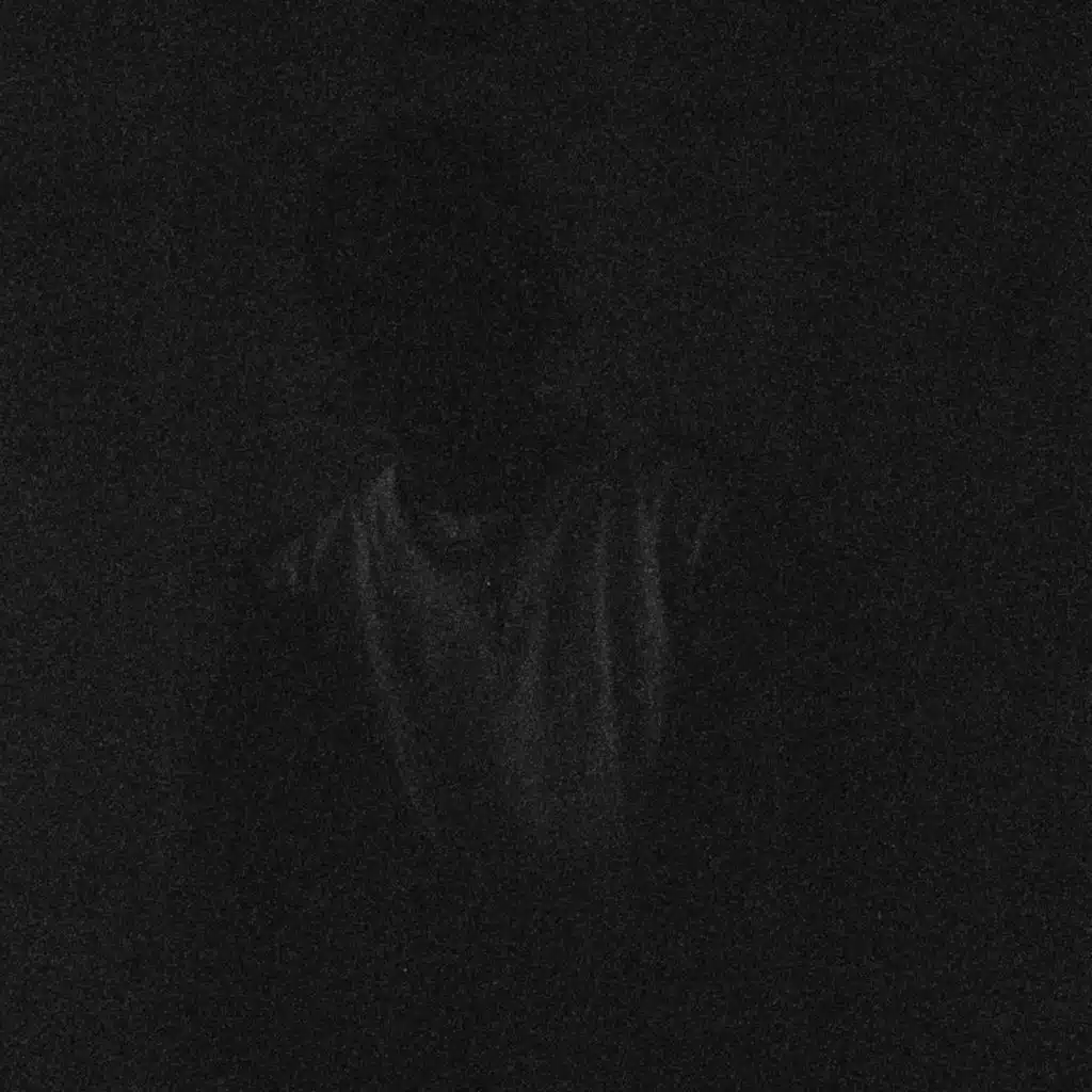 molis'zanih (feat. Malbec)