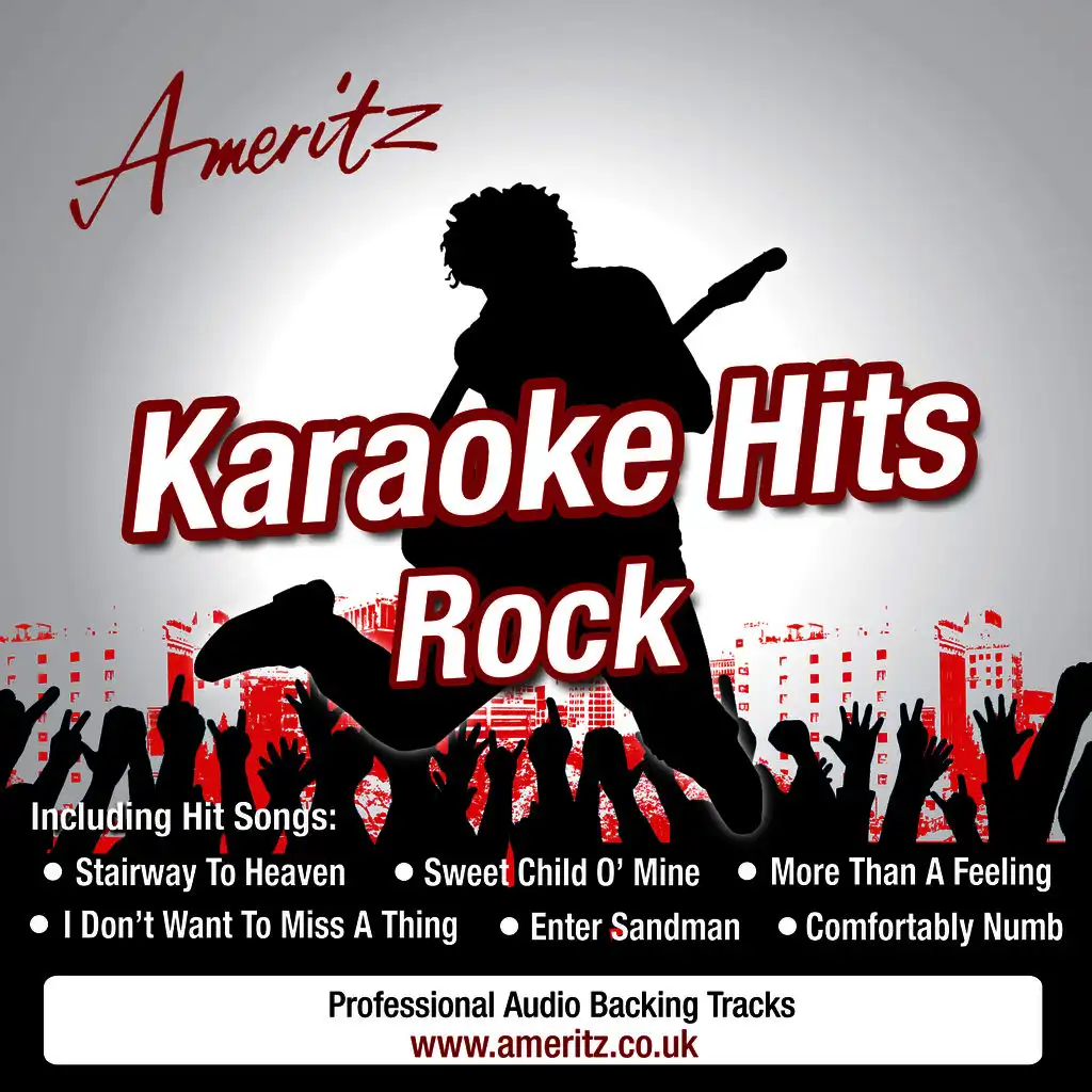 The Pretender (In The Style Of The Foo Fighters)