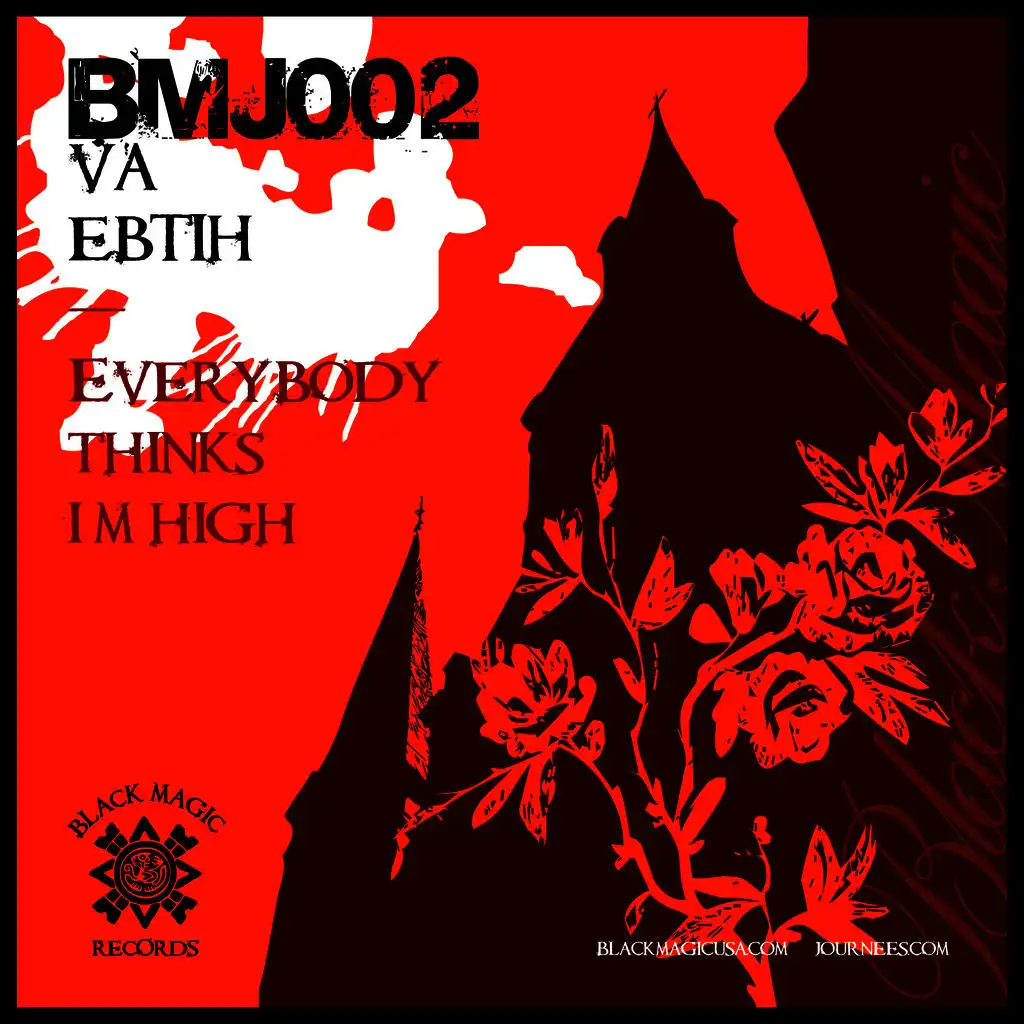 Everybody Thinks I'm High (Dj Sandy electro mix)