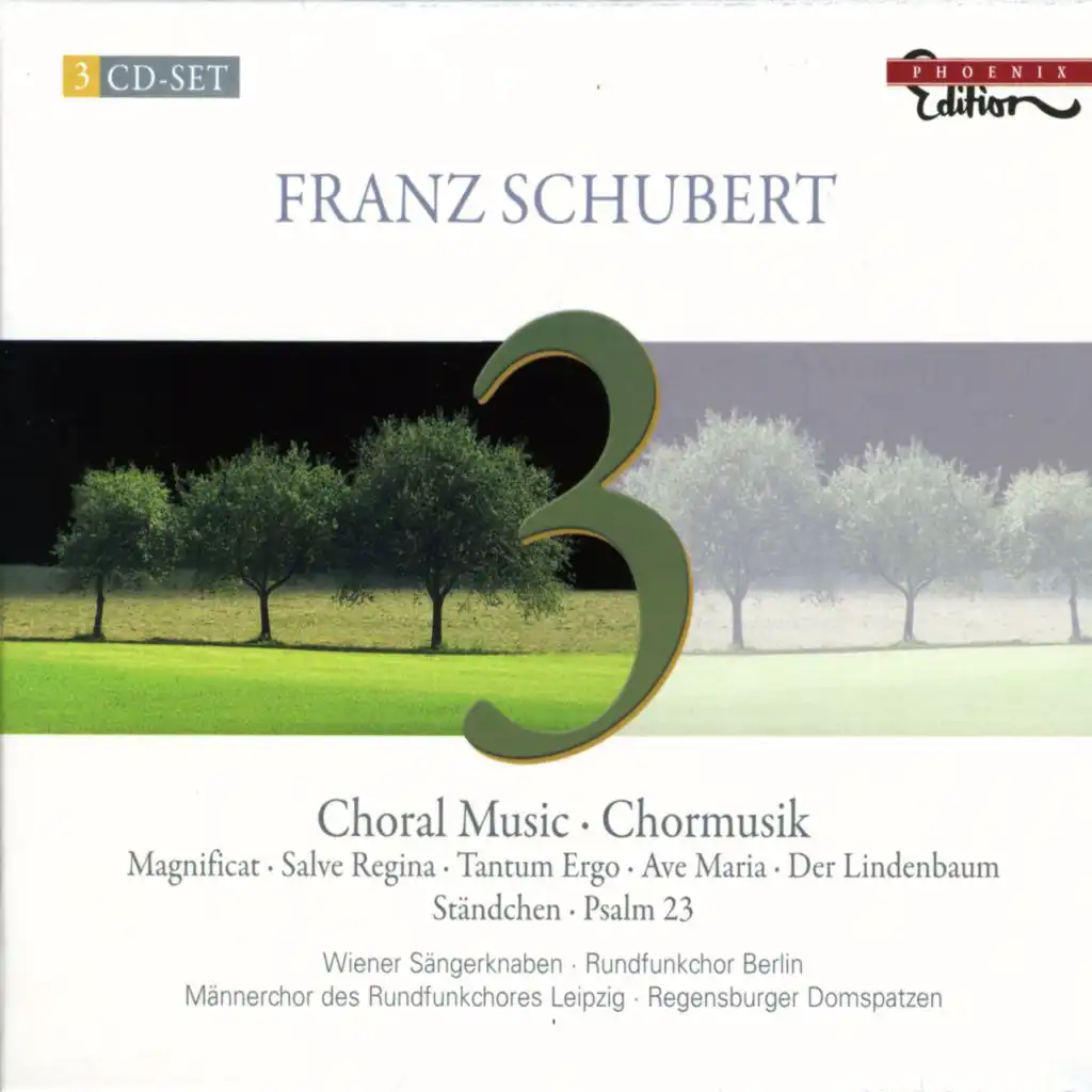 Ave Maria, Op. 52 No. 6, D. 839: Ellens Gesang III (Ave Maria!), Op. 56, No. 6, D. 839, "Hymne an die Jungfrau" [Arr. For Soprano, Harp & Chorus]