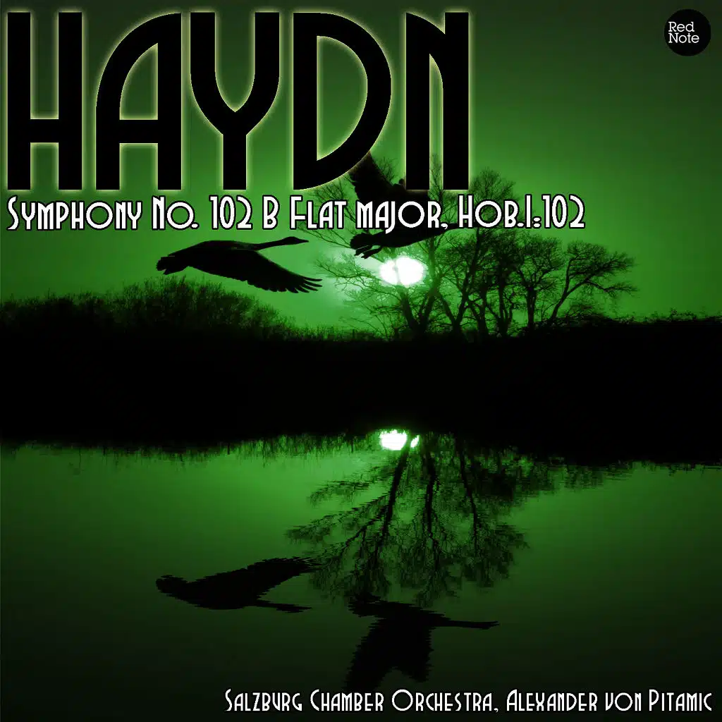 Haydn: Symphony No. 102 B Flat major, Hob.I:102