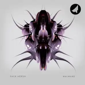 Malware (Zain Wolf & K A G E Remix)