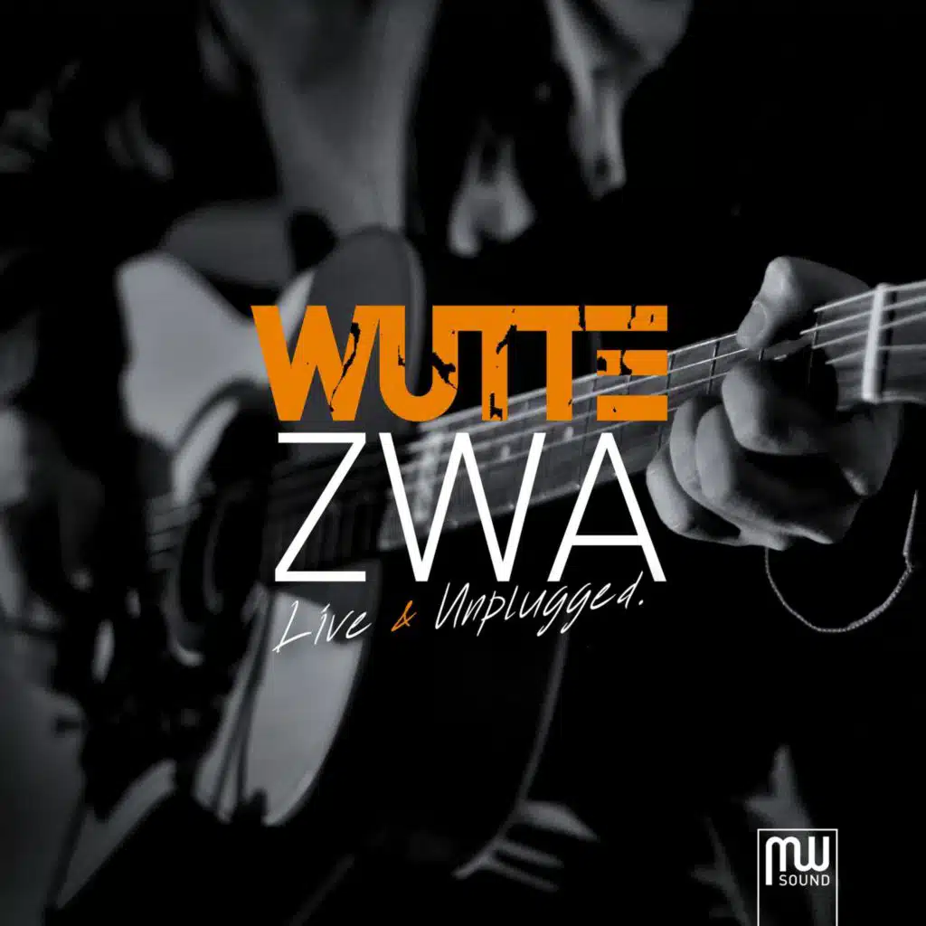 Hin und her (feat. Werner Groisz) (Live & Unplugged)