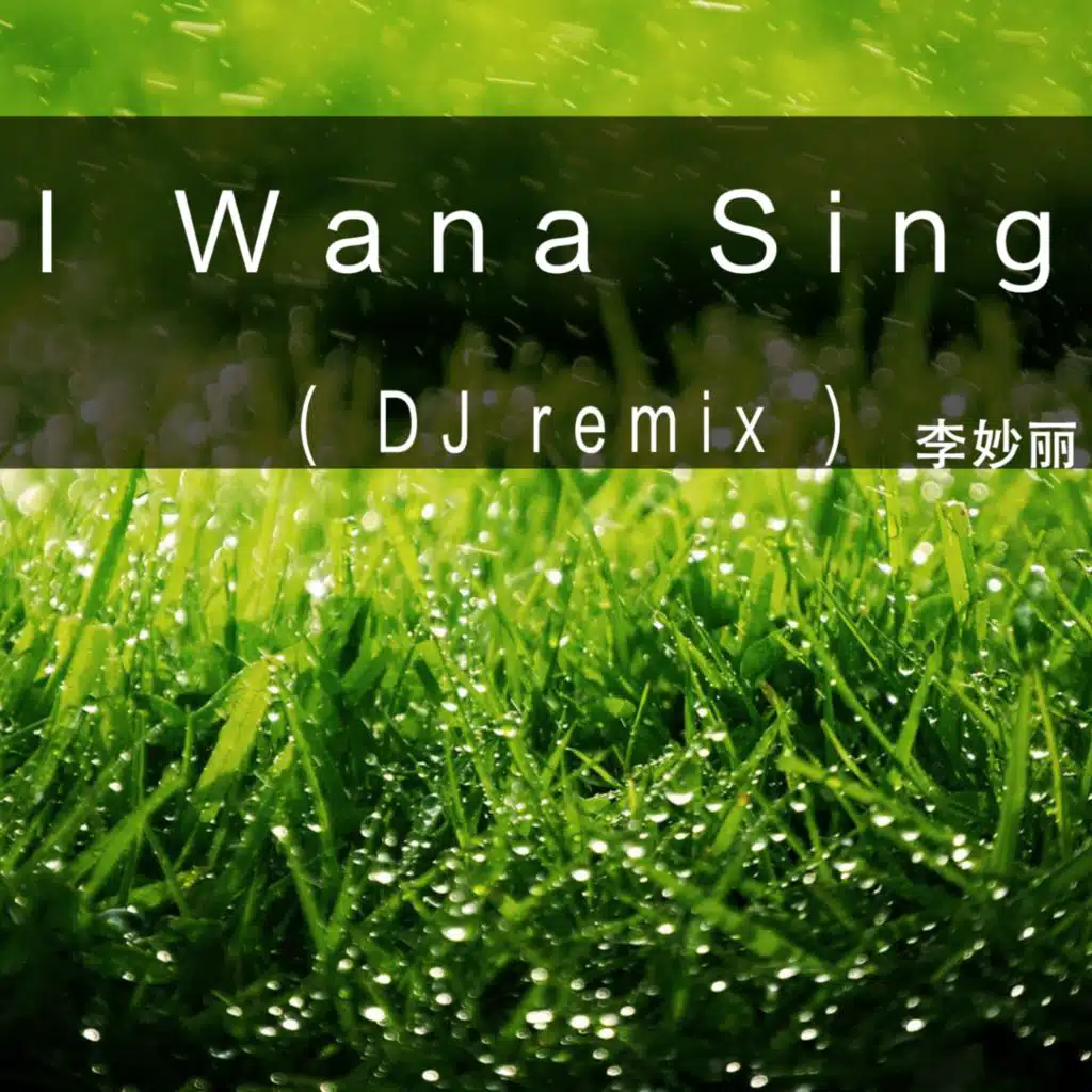 I Wana Sing (DJ Remix)