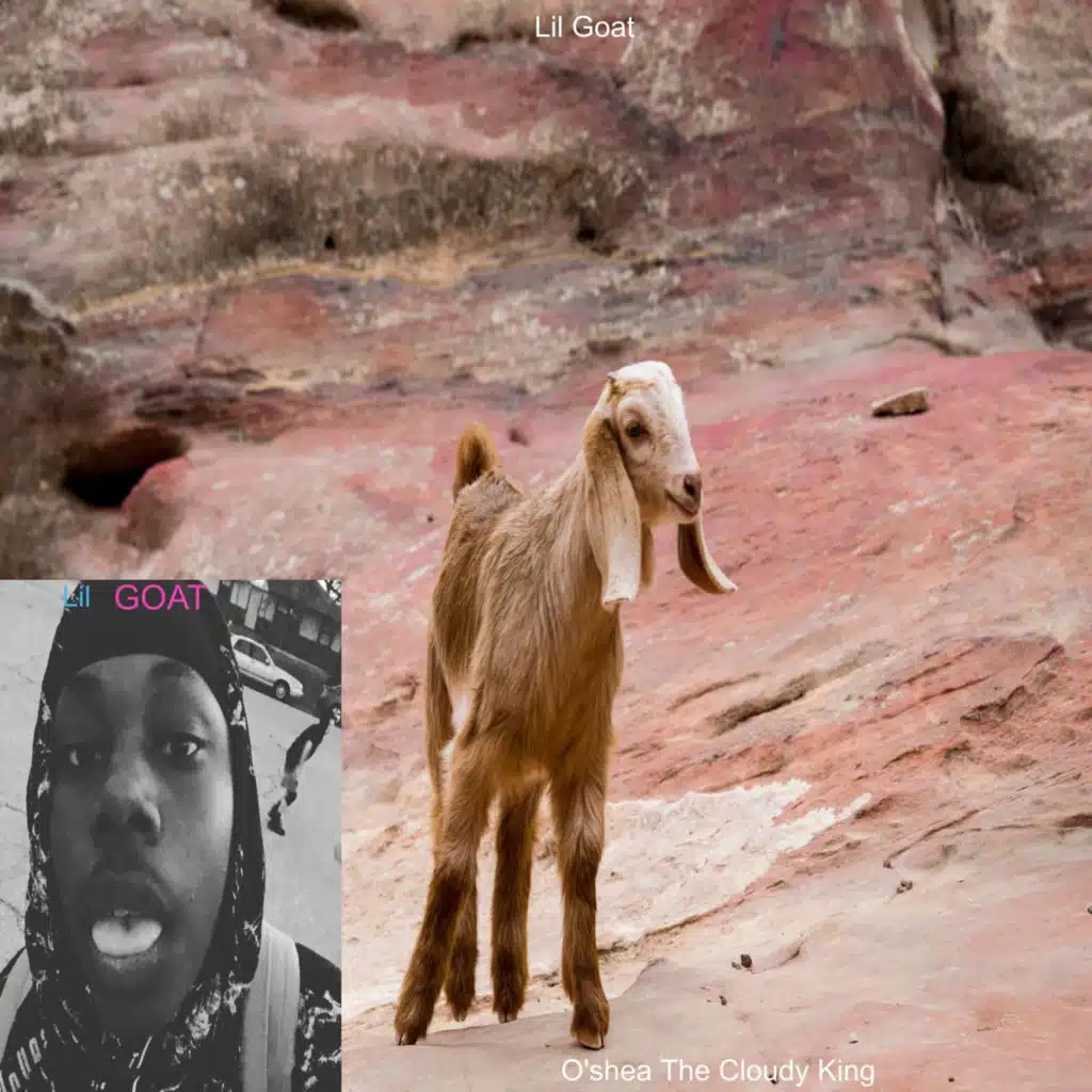Lil Goat