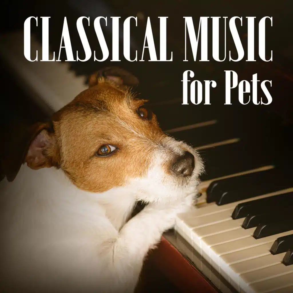 Lamberto Gardelli, Orchestra of the Royal Opera House, Covent Garden & Chorus of the Royal Opera House, Covent Garden