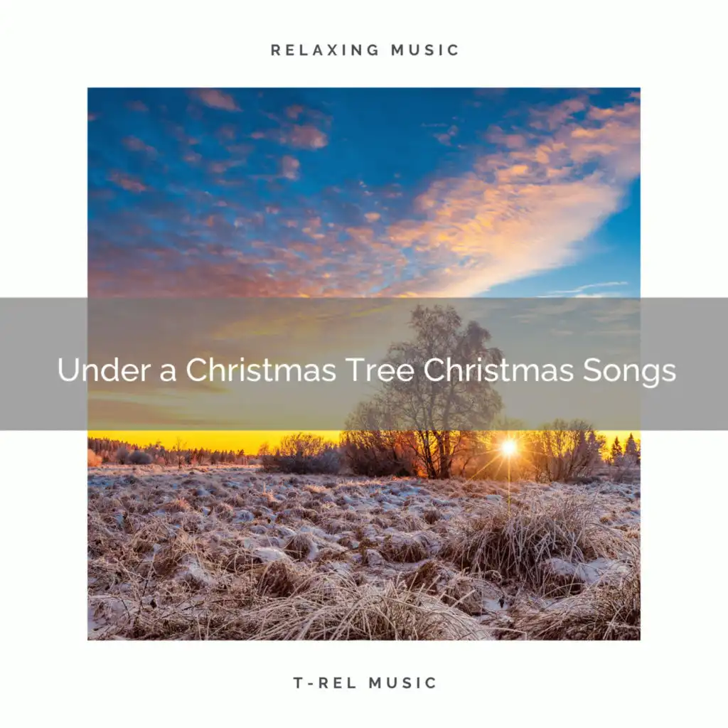 Peace by a Christmas Tree with Relieving Tunes and Winter Relaxing Sounds