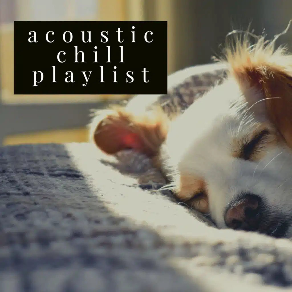 Acoustic Chill Playlist