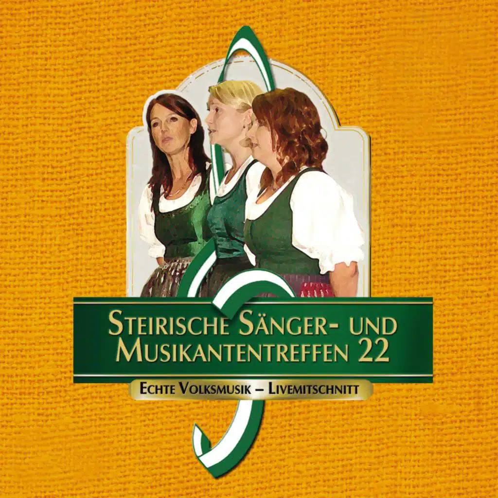 Steirische Sänger- und Musikantentreffen 22 (Live)