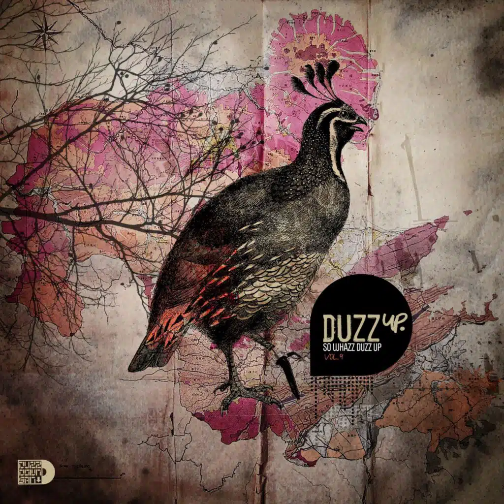 DuzzUp, Vol. 9