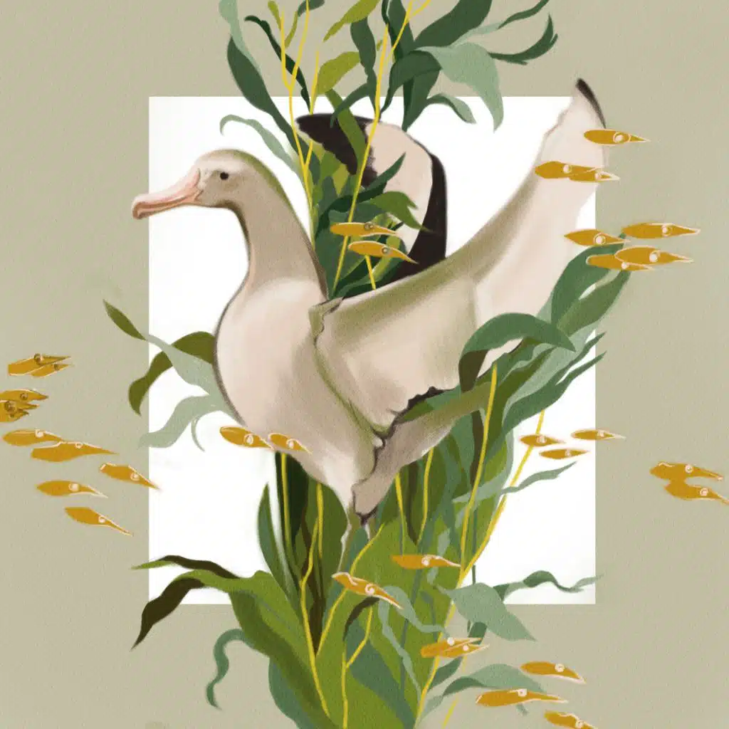 I Believe My Time Ain’t Long (Live)