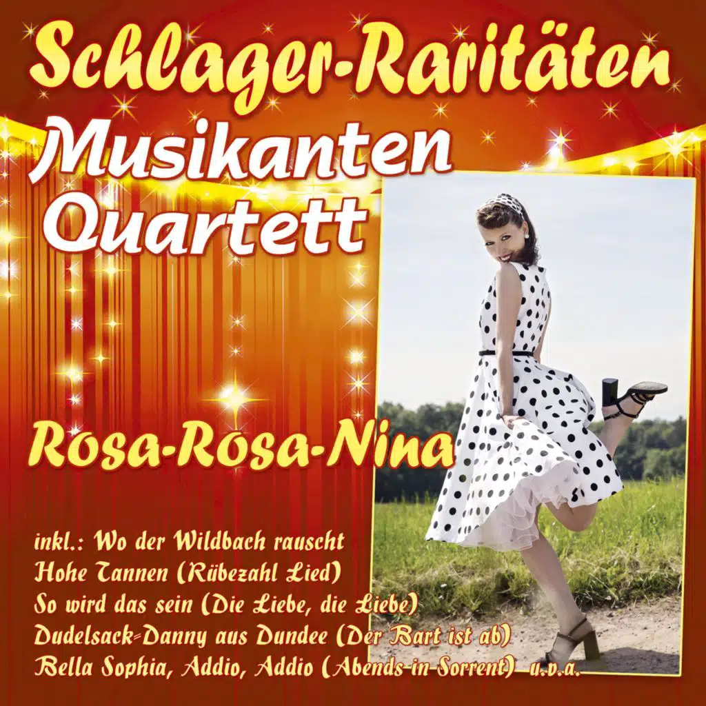 Musikanten Quartett