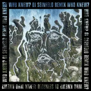 Who Knew? (DJ Seinfeld Remix)