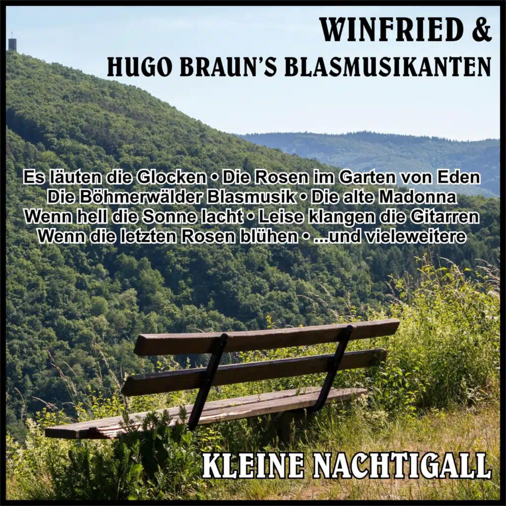 Winfried & Hugo Braun's Blasmusikanten