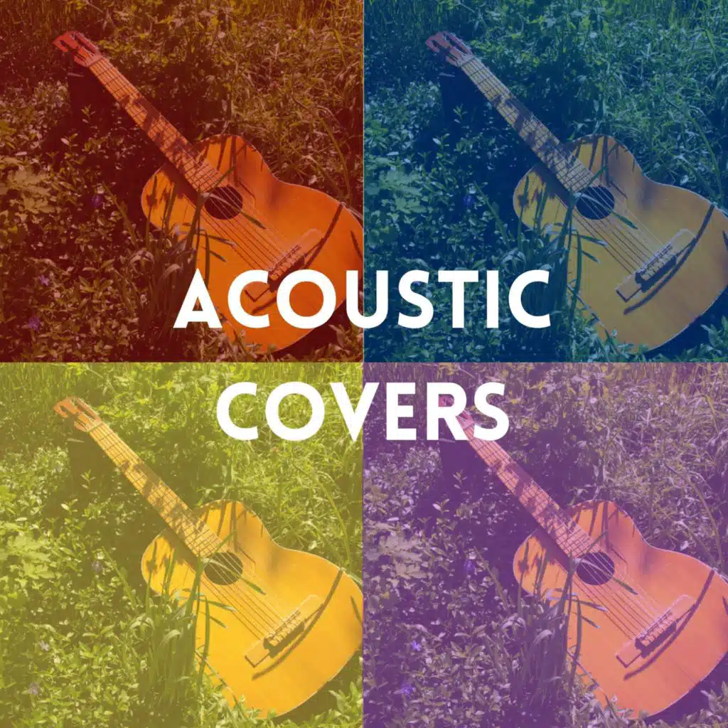 Acoustic Covers