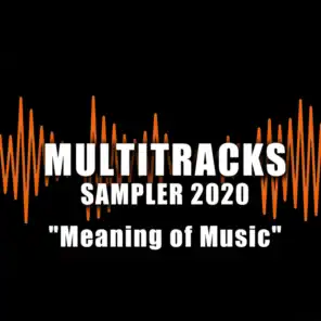 Multitracks Sampler 2020 "Meaning of Music"