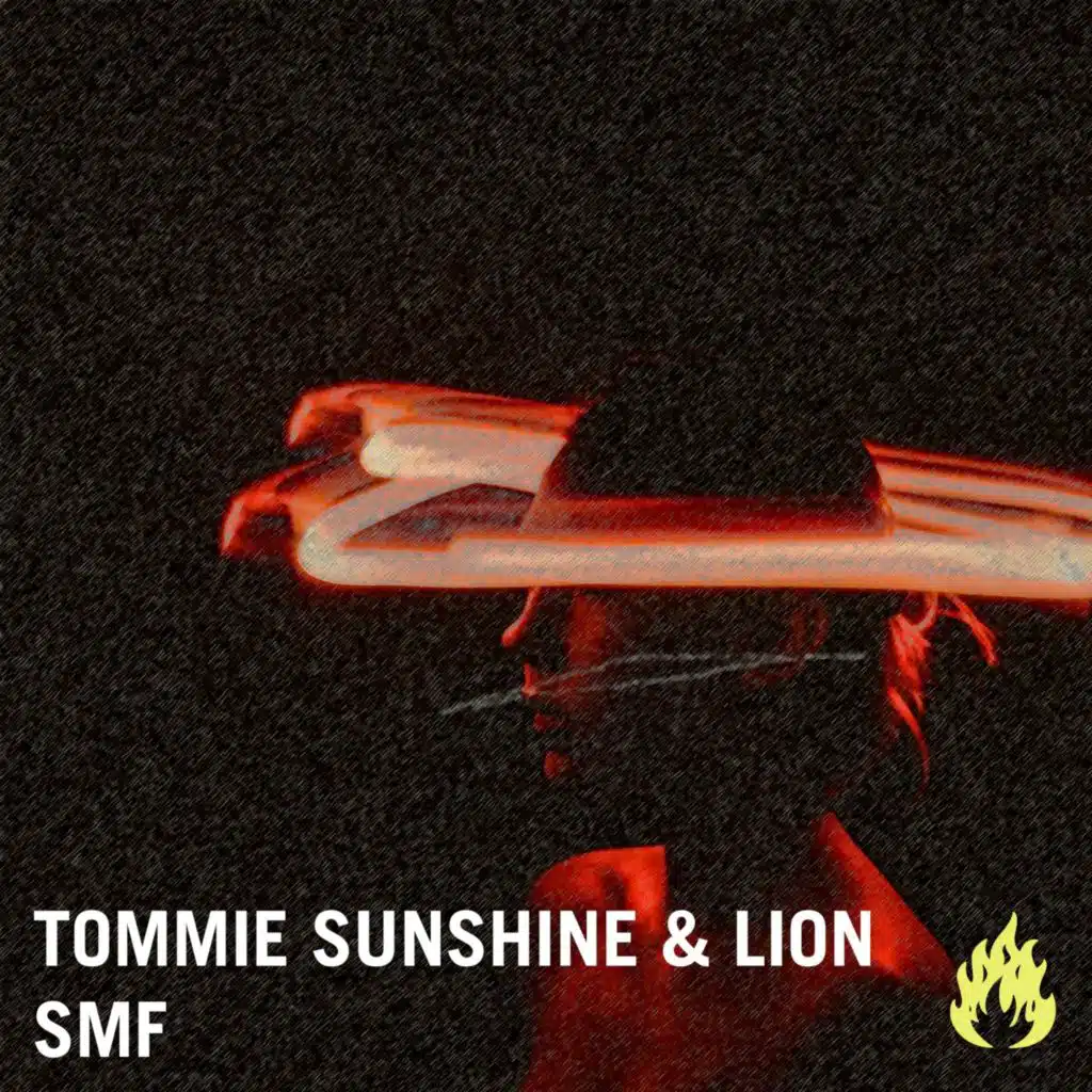 Tommie Sunshine & Lion