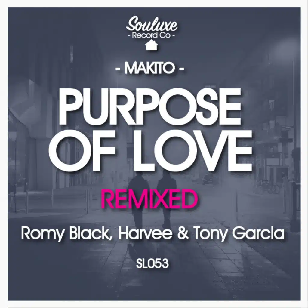 Purpose Of Love (Romy Black Remix)