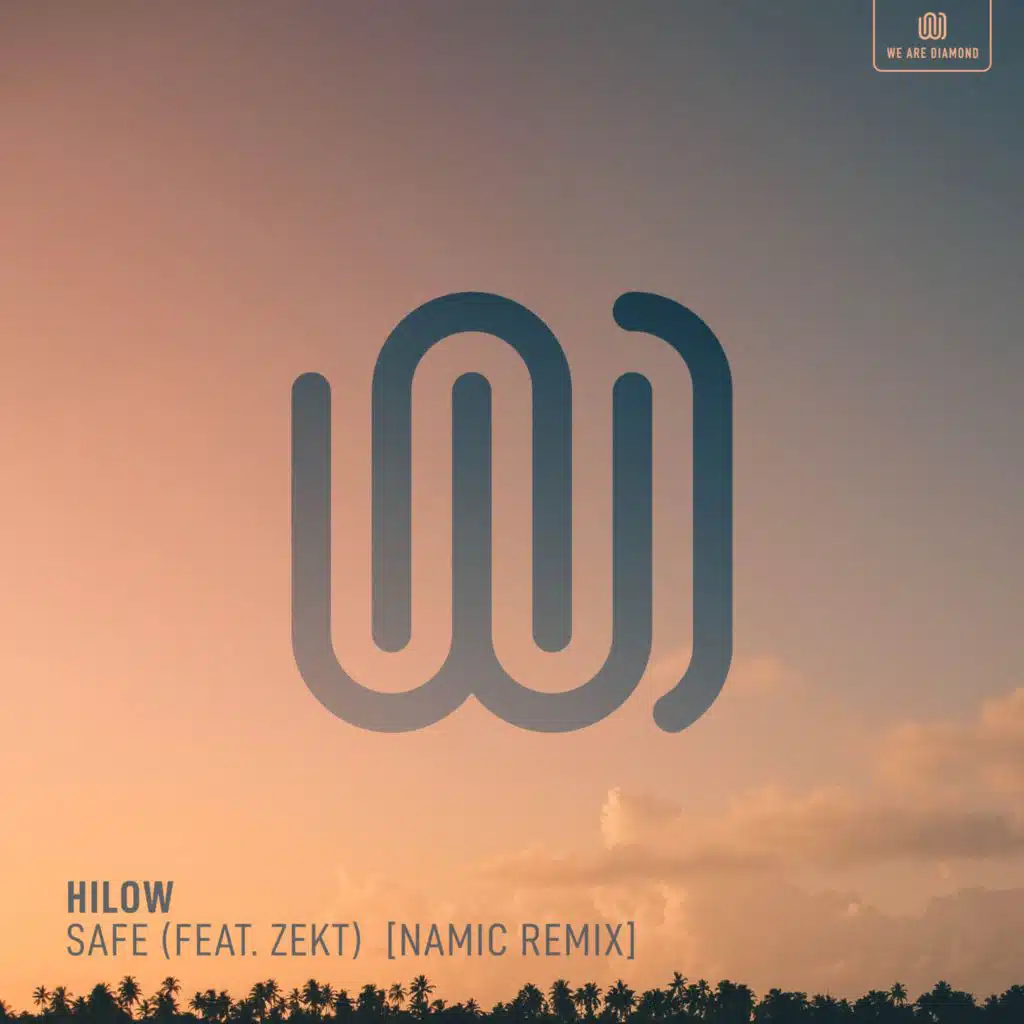 Safe (Namic Remix) [feat. Zekt]