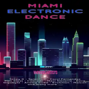 Miami Electronic Dance