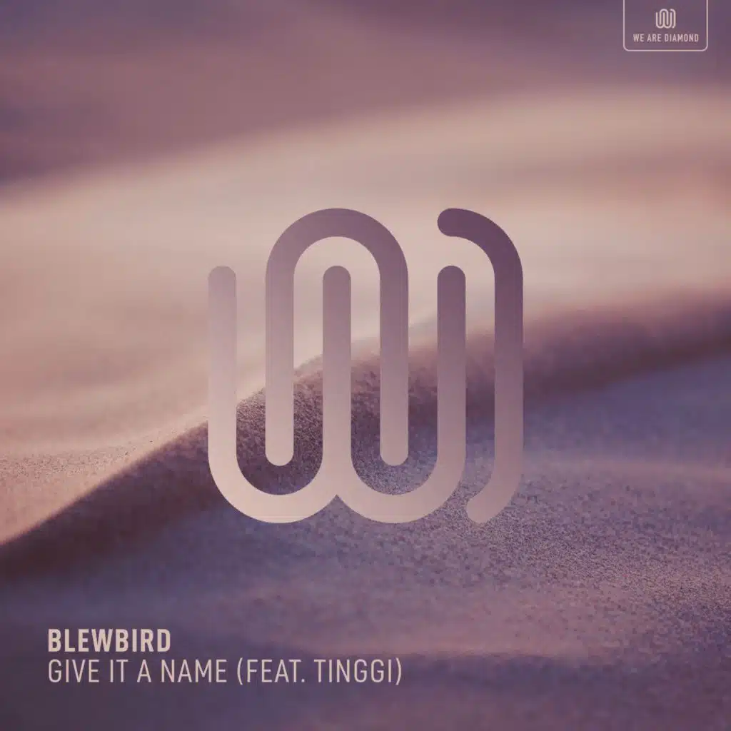 Give It a Name (feat. TINGGI)