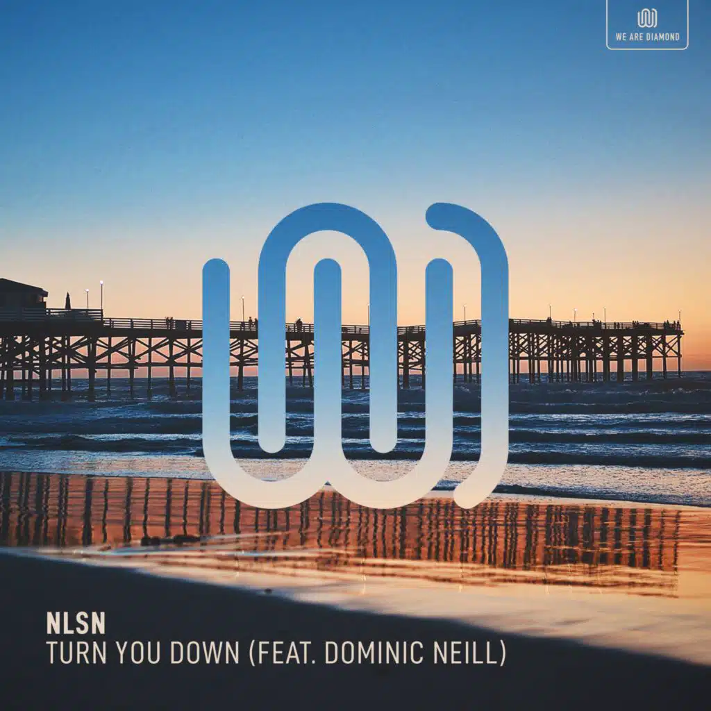 Turn You Down (feat. Dominic Neill)