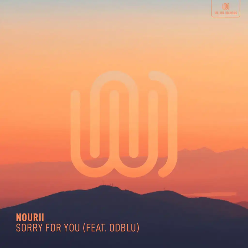 Sorry for You (feat. ODBLU)