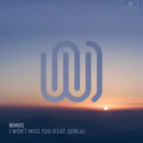 I Won't Miss You (feat. ODBLU)