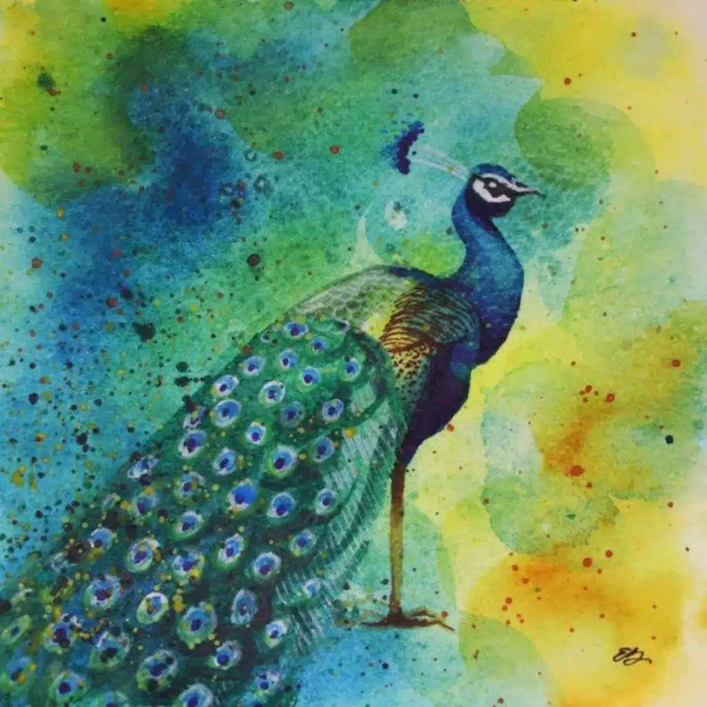 Lonely Bird