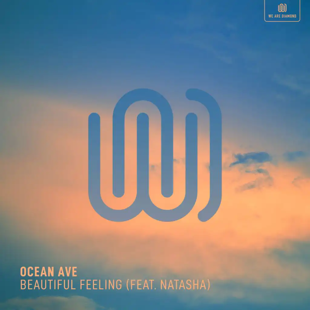 Beautiful Feeling (feat. Natasha)