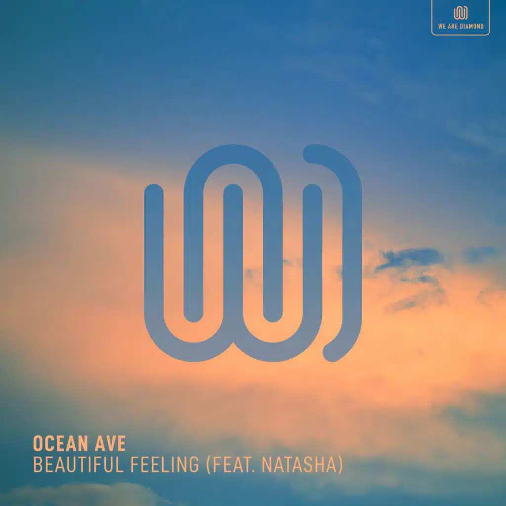 Beautiful Feeling (feat. Natasha)