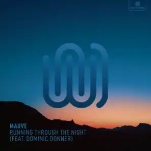 Running Through the Night (feat. Dominic Donner)