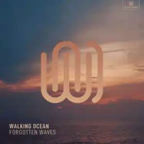 Forgotten Waves