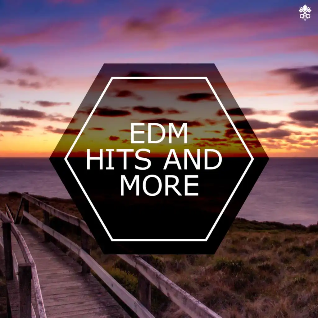 EDM Hits and More