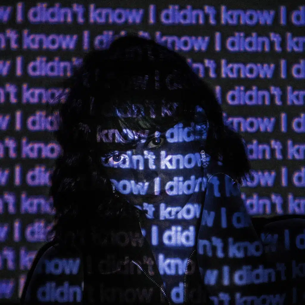 I Didn't Know (LIZOT Remix) [feat. James Gillespie]