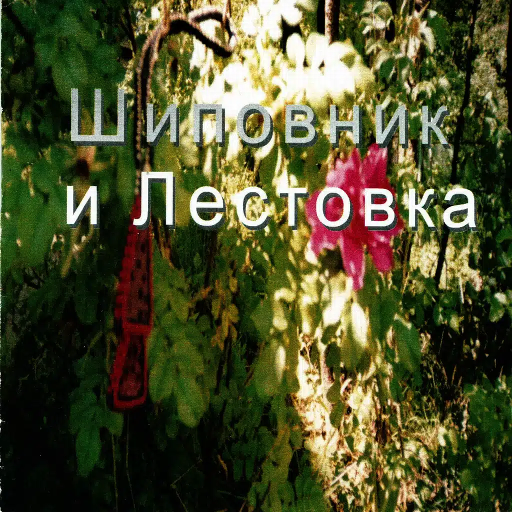 Shipovnik I lestovka