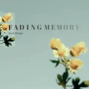 Fading Memory