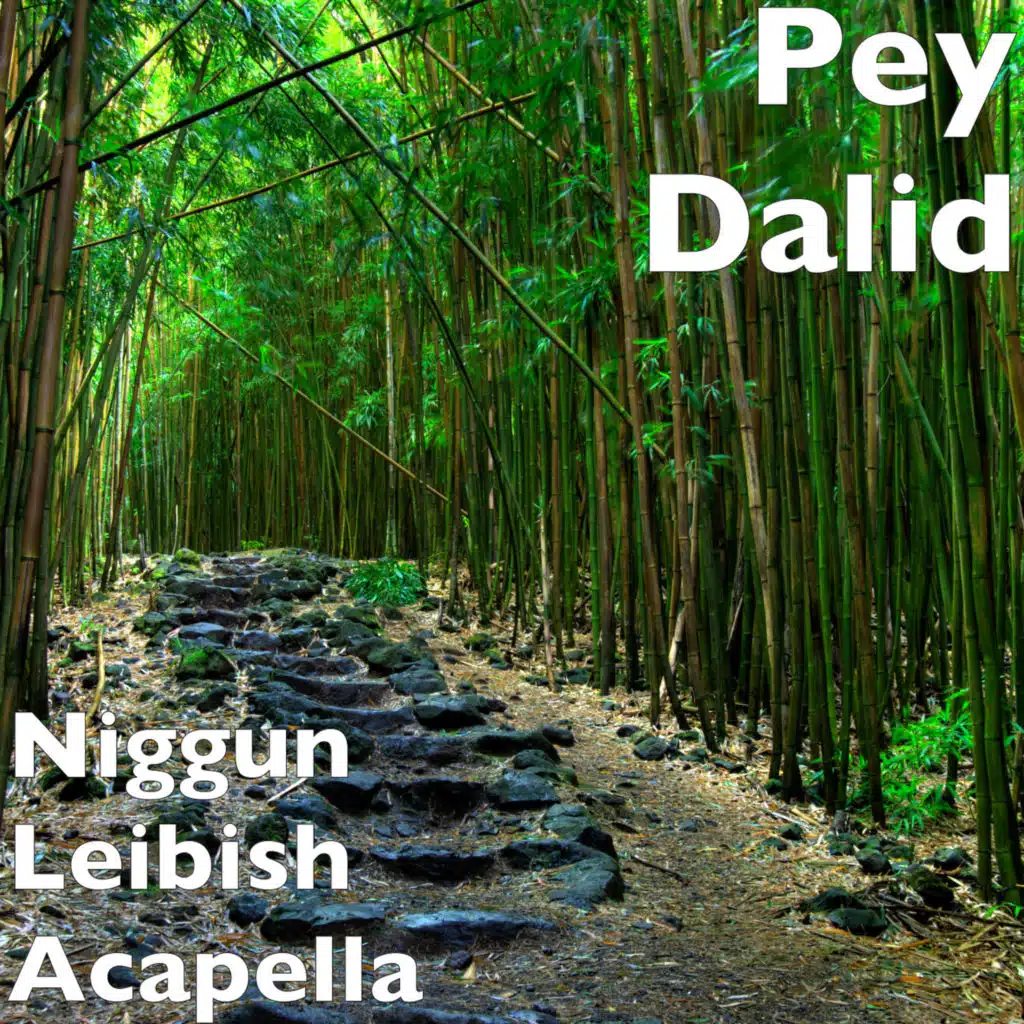 Niggun Leibish (Acapella)
