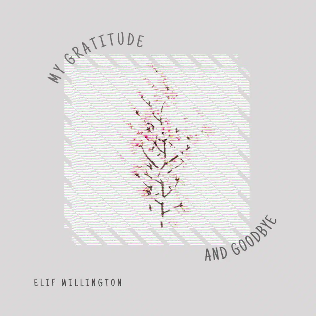 My Gratitude and Goodbye