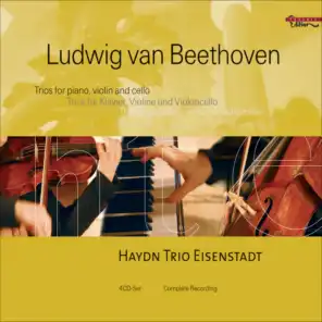 Eisenstadt Haydn Trio